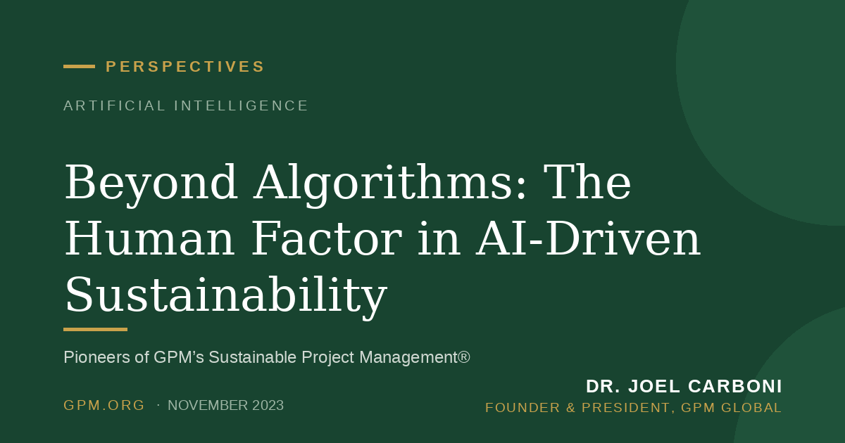 Beyond Algorithms: The Human Factor in AI-Driven Sustainability