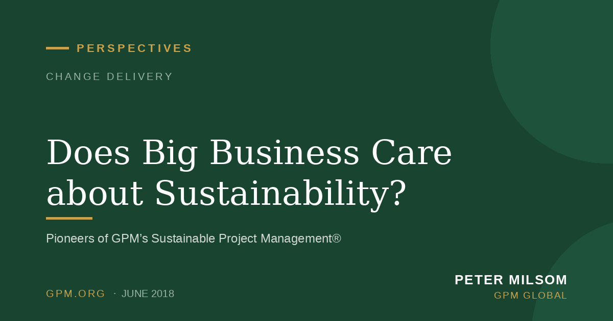Does Big Business Care about Sustainability?