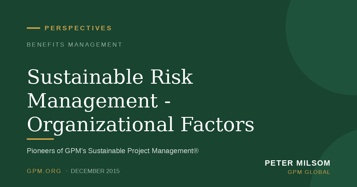 Sustainable Risk Management - Organizational Factors