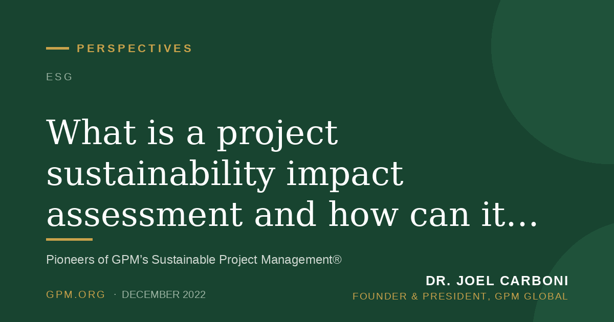 What is a project sustainability impact assessment and how can it measure the value of social and environmental efforts?