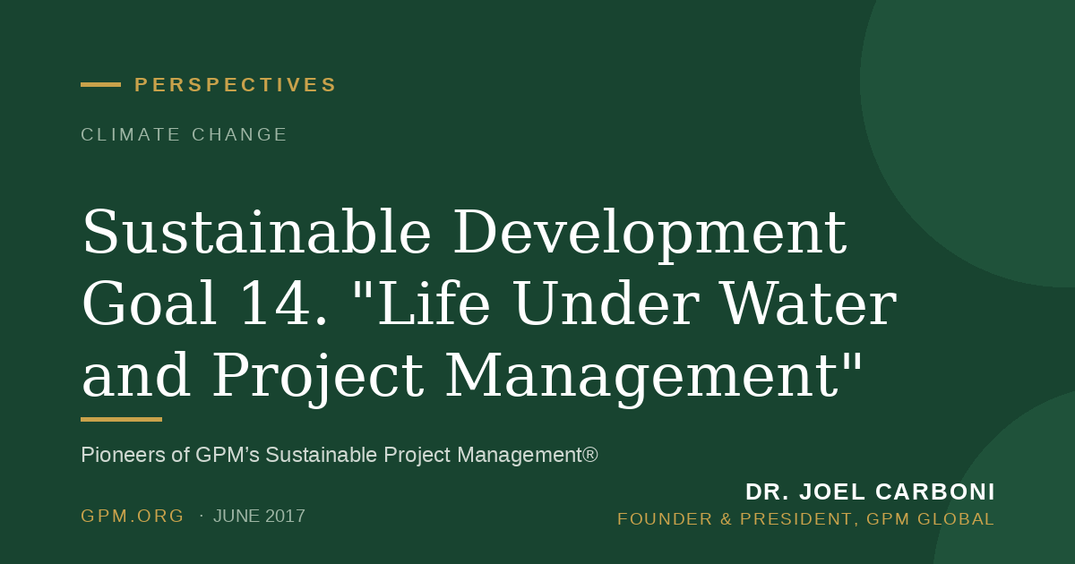 Sustainable Development Goal 14. "Life Under Water and Project Management"